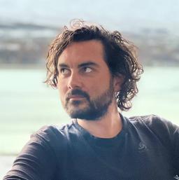 Lluís Roca